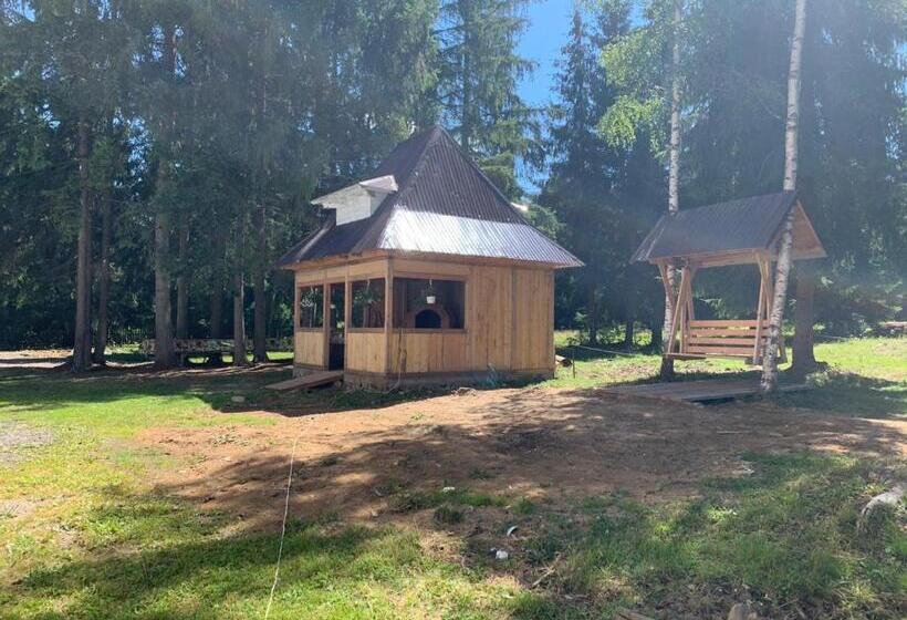 Pensiunea Valea Pintei