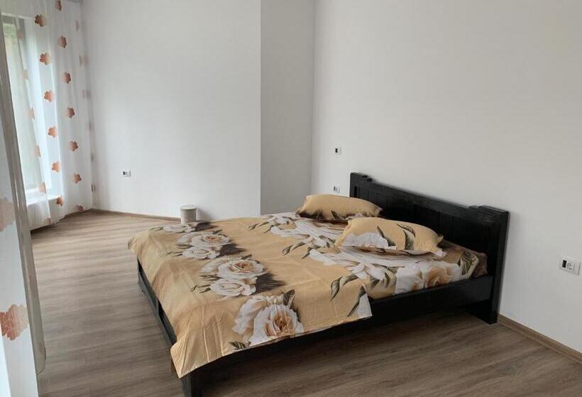 Pensiunea Valea Pintei