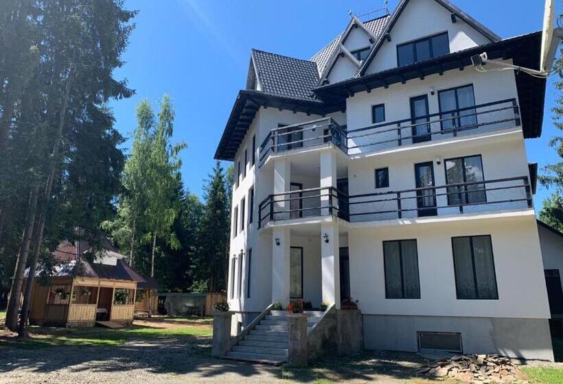 Pensiunea Valea Pintei