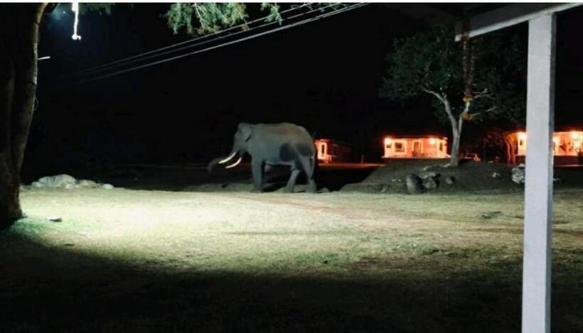 The Wild Fo Rest Resorts