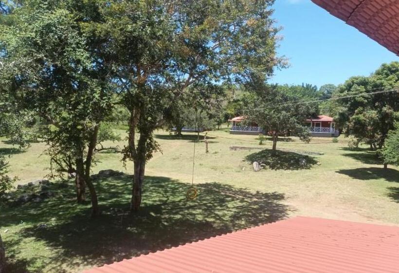 The Wild Fo Rest Resorts