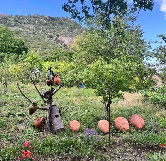 تختخواب و صبحانه Halidzor