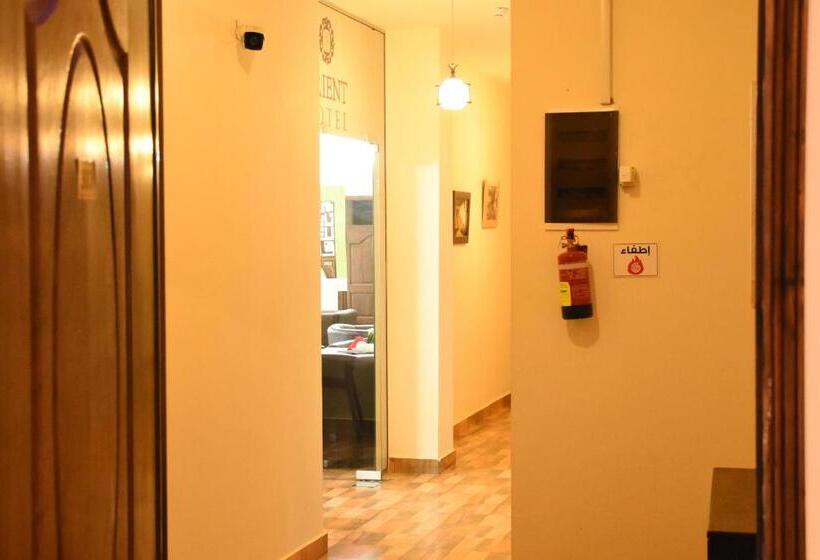 تختخواب و صبحانه Orient