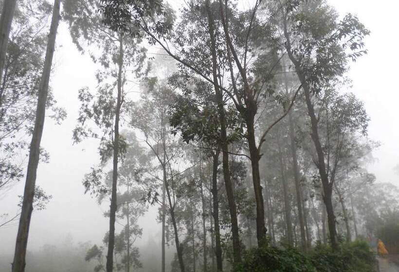 住宿加早餐  The Train View