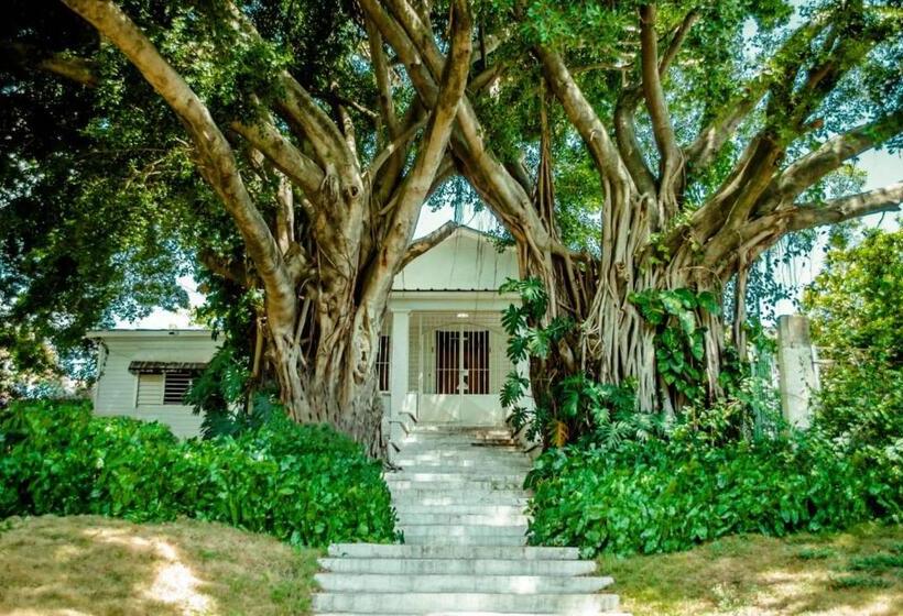 Villa Carolina Bed And Breakfast