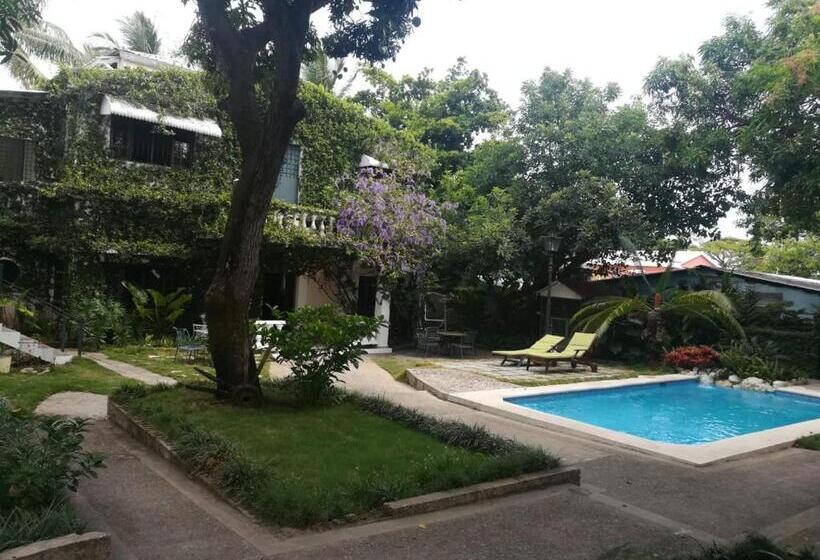 Villa Carolina Bed And Breakfast