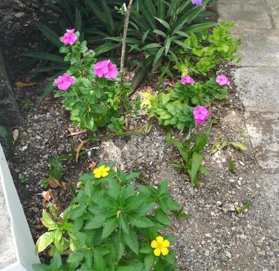 Villa Carolina Bed And Breakfast