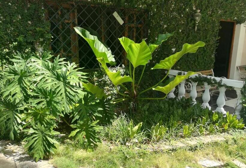 Villa Carolina Bed And Breakfast