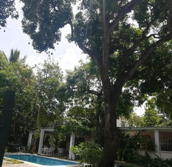 Villa Carolina Bed And Breakfast