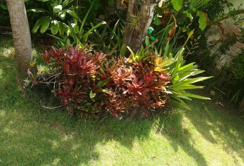 Villa Carolina Bed And Breakfast