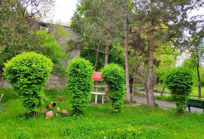 Health Resort Arzni 1