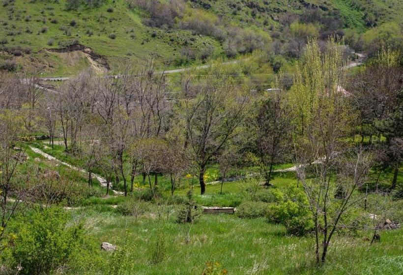 酒店 Arzni Health Resort