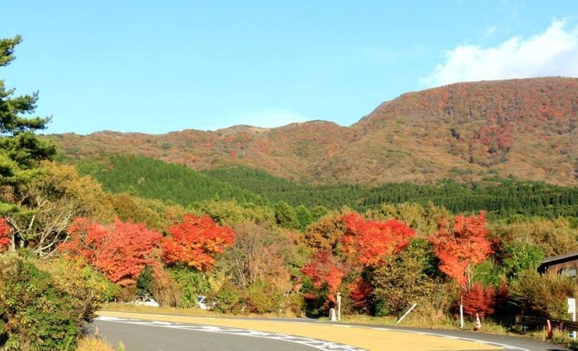 Отель Auberge  A Ma Facon