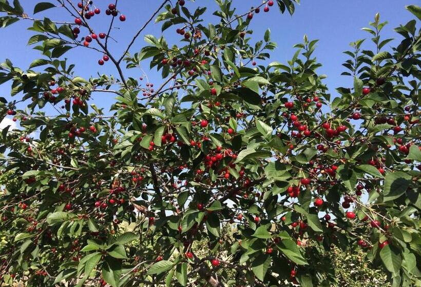 酒店 Azoyan Holiday Resort