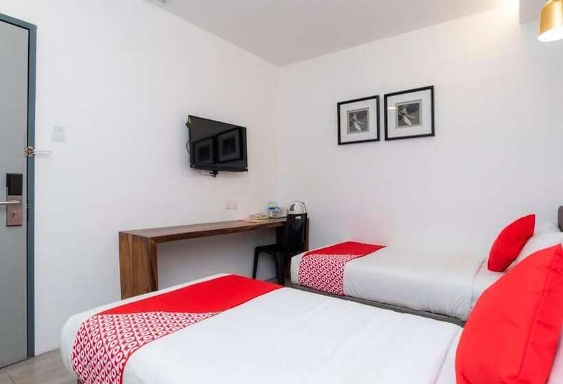 בית מלון כפרי Big Big