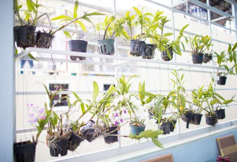 هتل Ck Saigon Central