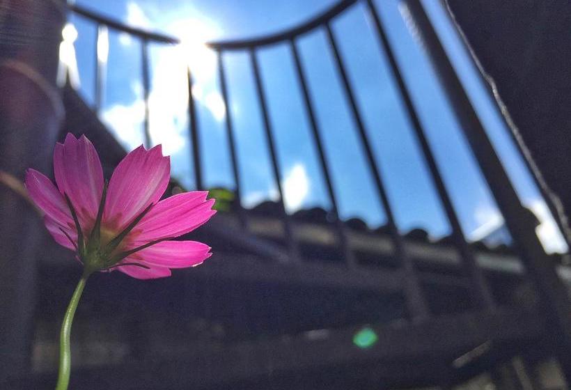 Отель Heshun Xinyue Boutique Inn