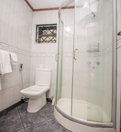 فندق Hyatt Palace