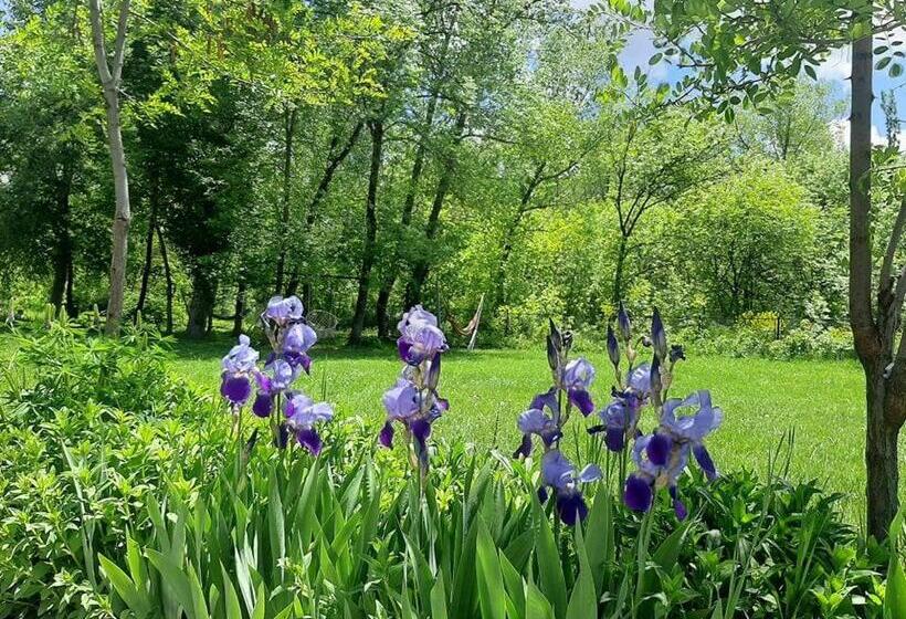 Отель Jermuk Verona Resort