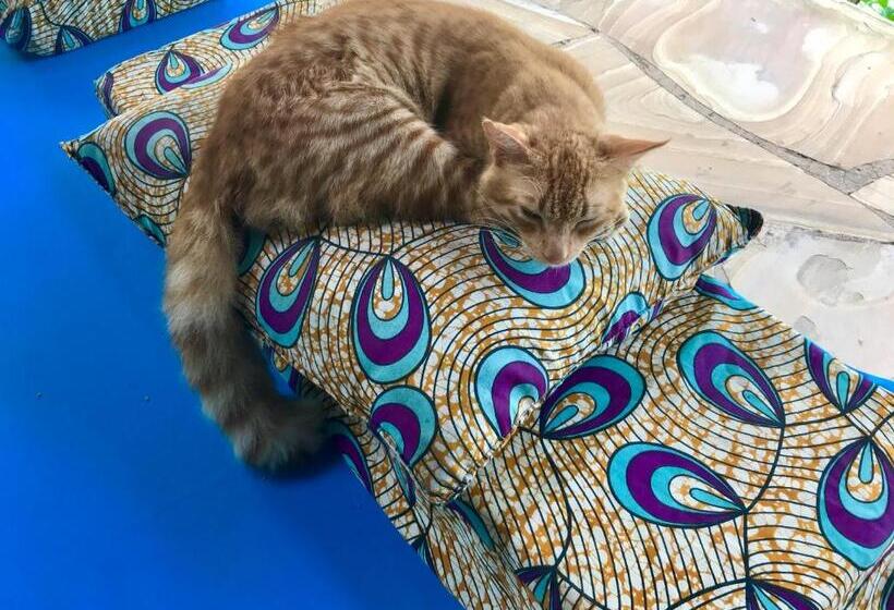 酒店 Mangrove Lodge