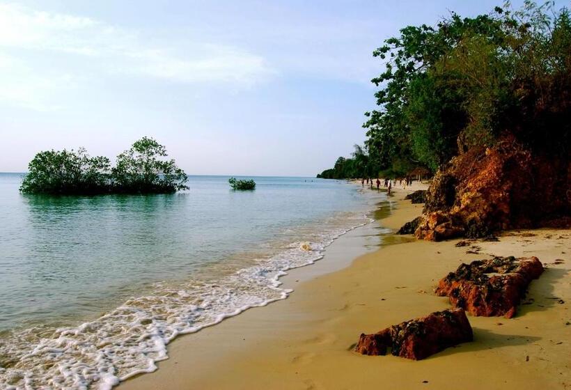 酒店 Mangrove Lodge