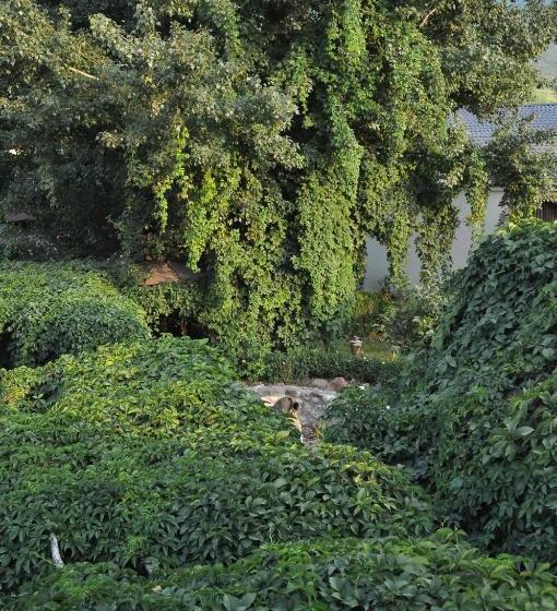 فندق Mayisyan Kamurj