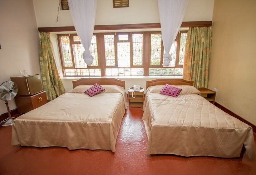 هتل Nile Anchor Palace