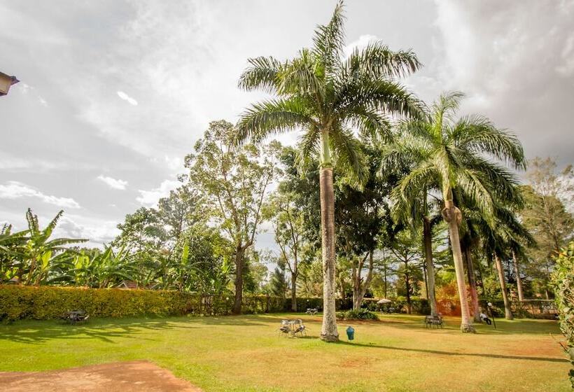 هتل Nile Anchor Palace