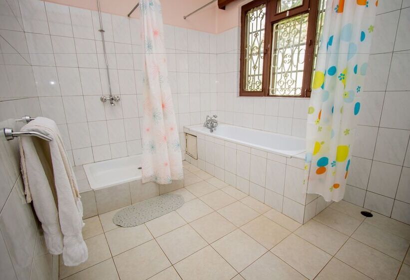 هتل Nile Anchor Palace