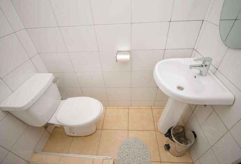 هتل Nile Anchor Palace