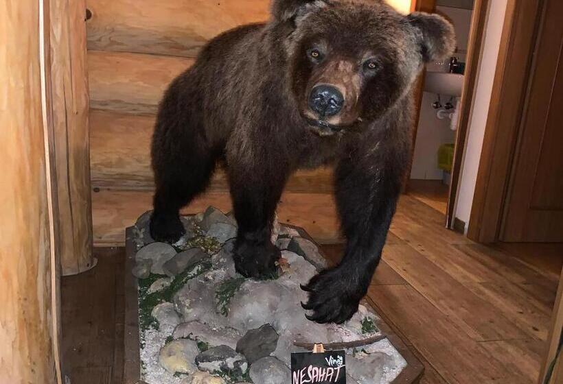 酒店 Srub U Medvěda