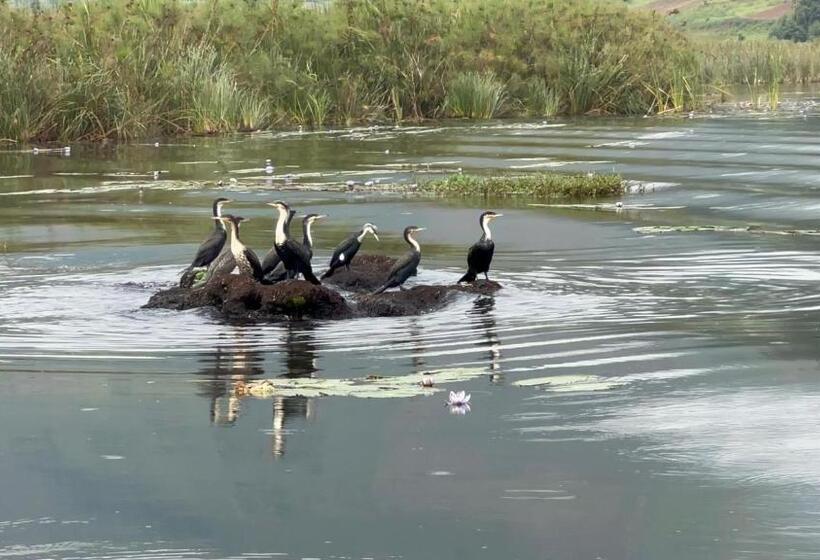 Lake Bunyonyi Rock Resort