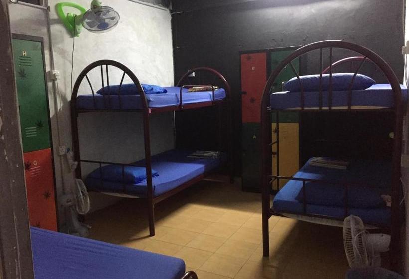 Sweet Monkey Backpacker Hostel