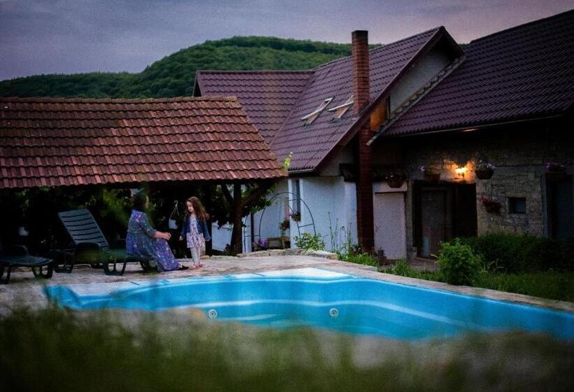 Agropensiunea Rafila