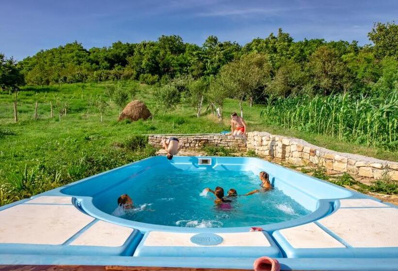 Agropensiunea Rafila