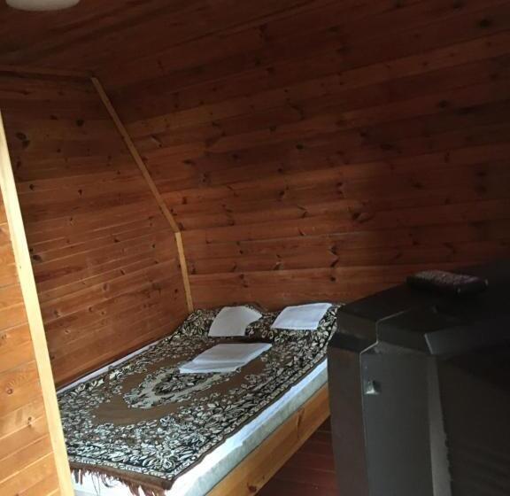 هاستل номера в деревянных домиках