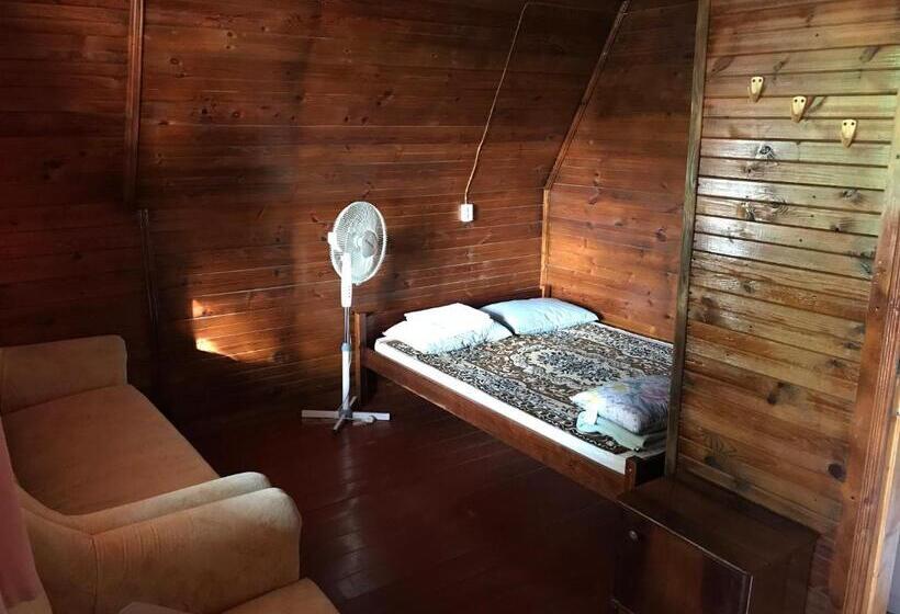 هاستل номера в деревянных домиках