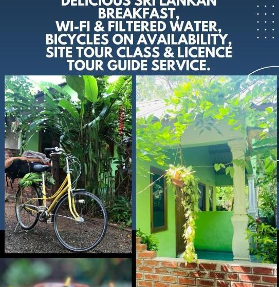 ユースホステル Forest Villa Nature Resort