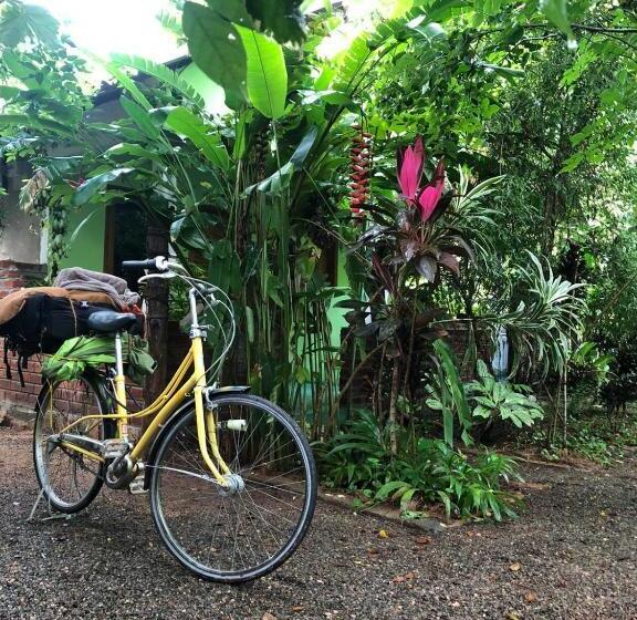 ユースホステル Forest Villa Nature Resort