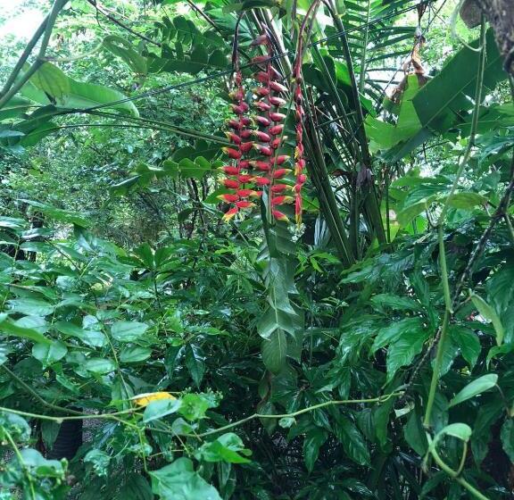 ユースホステル Forest Villa Nature Resort