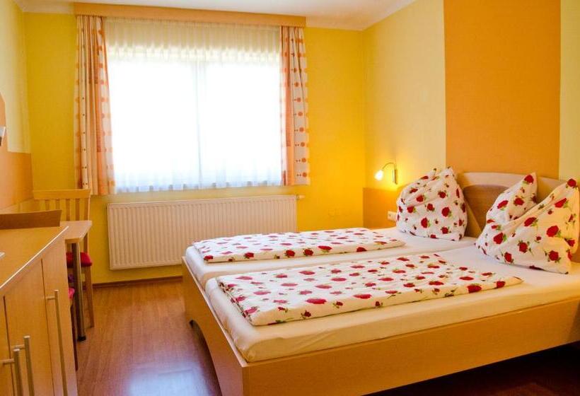 Общежитие Gästehaus Geigenbauer