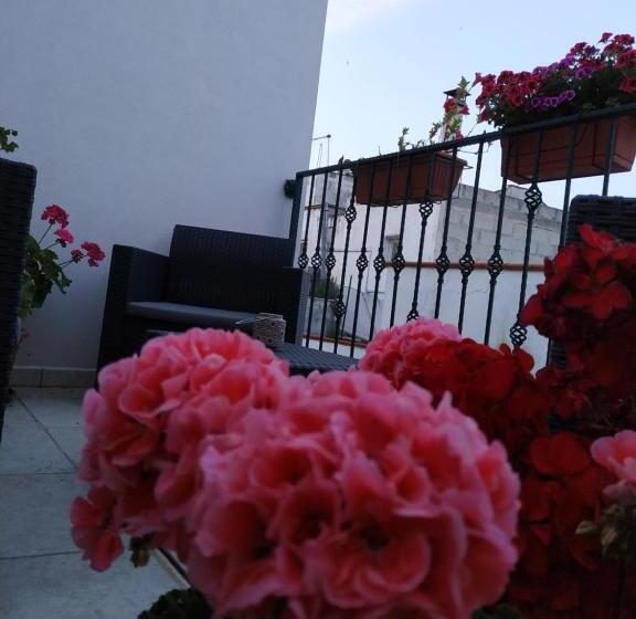 Bed and Breakfast Il Vicoletto