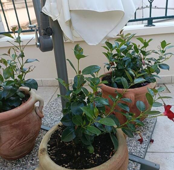 Bed and Breakfast Il Vicoletto