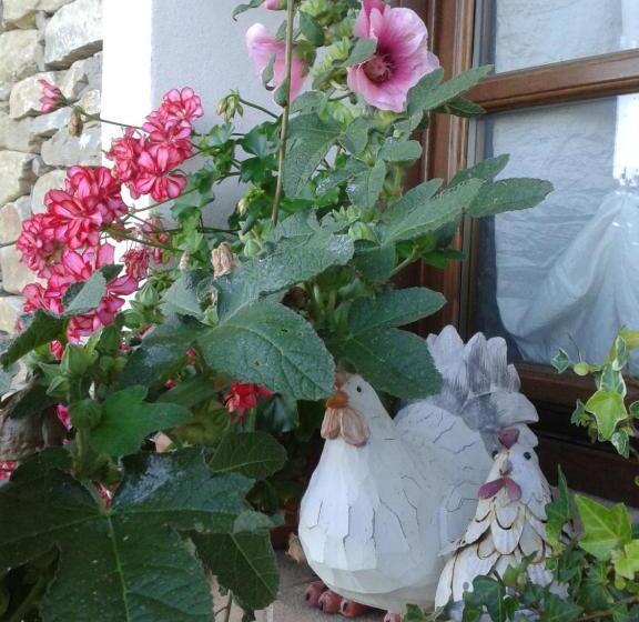 Nocleg ze śniadaniem Magiche Langhe