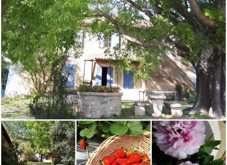 민박 Mas Saint Joseph