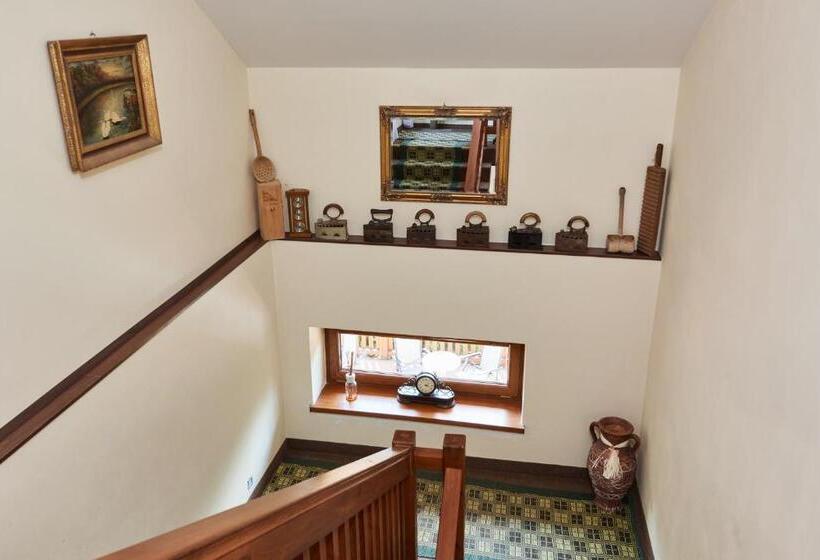 تختخواب و صبحانه Villa Lupu