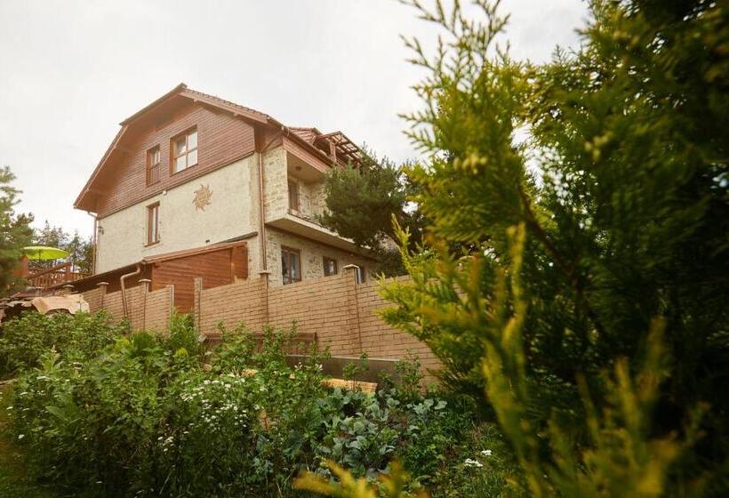 Bed and Breakfast Villa Lupu