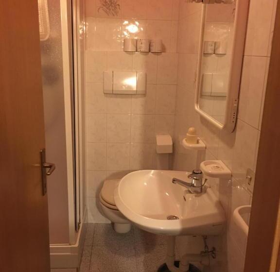 בית מלון כפרי Agritur Alpino