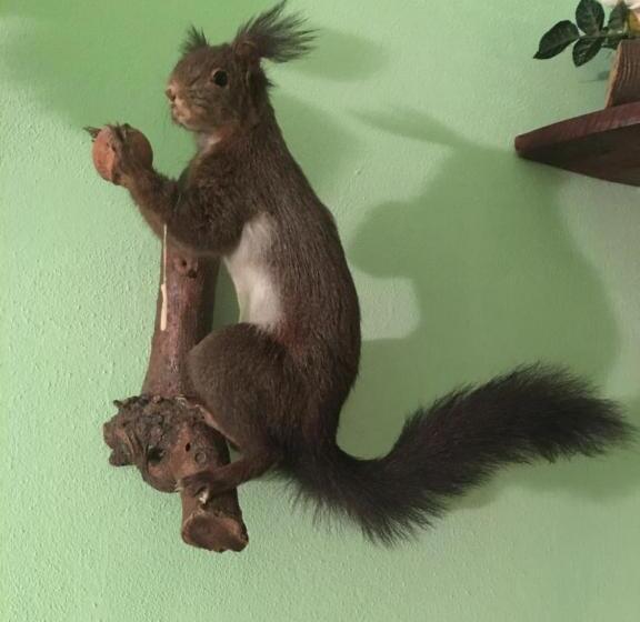 בית מלון כפרי Agritur Alpino