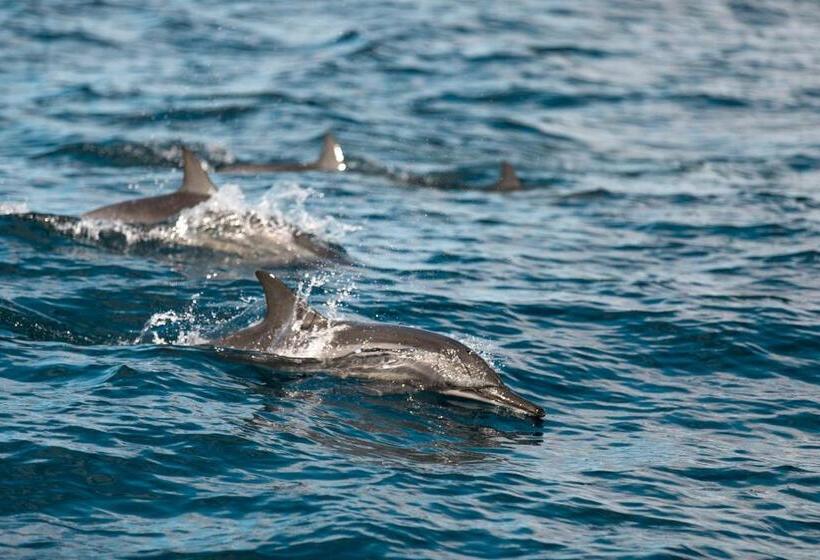 酒店 Hiru Villas And Kitesurfing